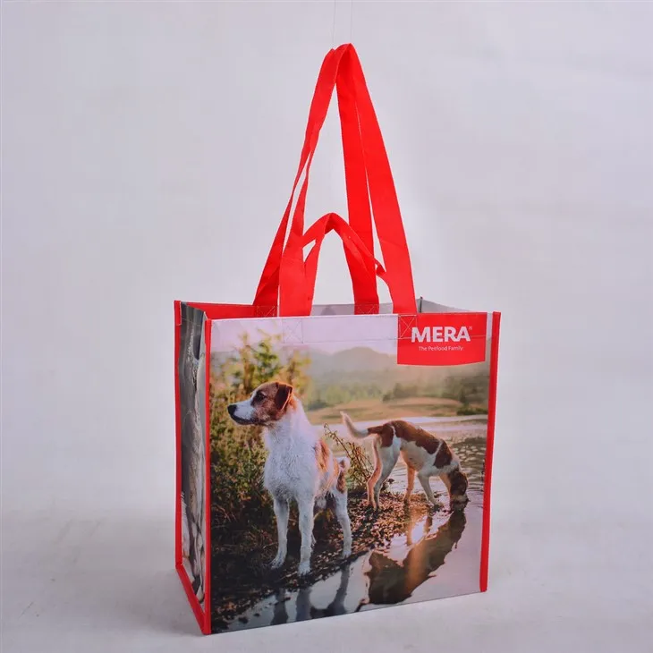 Sąžiningos prekybos perdirbtos pirkinių krepšiai