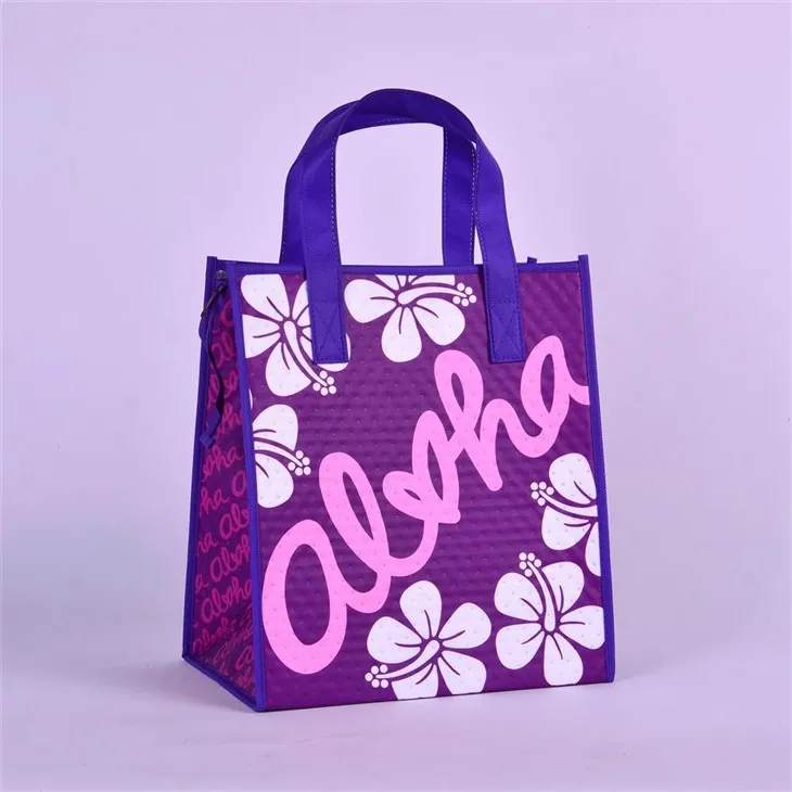 Izoliuotas nešiojamas pietų krepšys