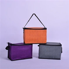 Nešiojamas aušintuvo krepšys