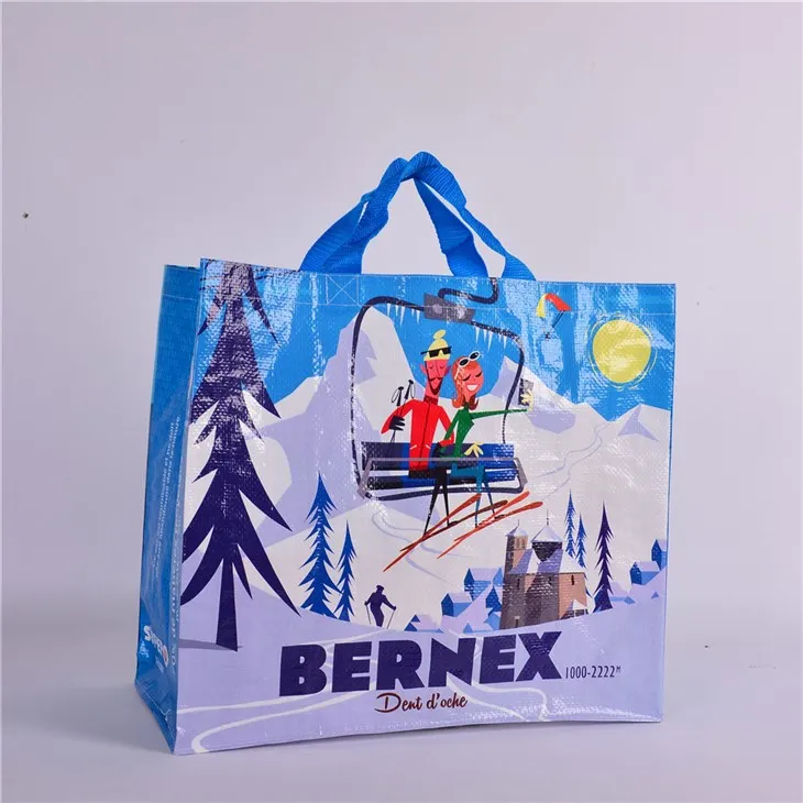 Austas ekologinis krepšys